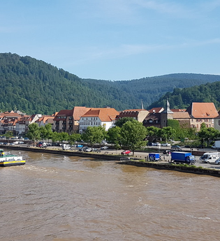 Wo der Neckar in den Westen will