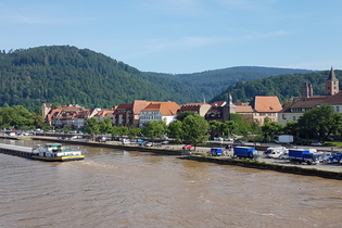Wo der Neckar in den Westen will