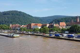 Wo der Neckar in den Westen will