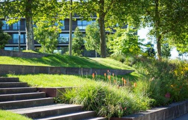 Das Bild zeigt einen begrünten Bereich mit Treppen und Steinmauerbegrenzungen. Gras, Sträucher und Bäume prägen den landschaftlich gestalteten Bereich. Ein Gebäude ist im Hintergrund zu sehen.  Es wirkt ruhig und entspannt.