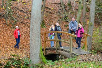 Herbstlicher Wald in Aglasterhausen / Odenwald | © Touristikgemeinschaft Odenwald e.V.