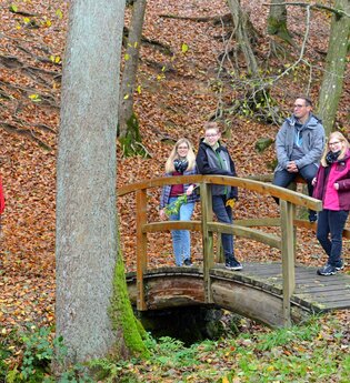 Herbstlicher Wald in Aglasterhausen / Odenwald | © Touristikgemeinschaft Odenwald e.V.