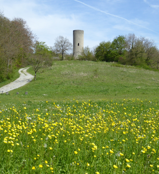 Aub | © Liebliches Taubertal