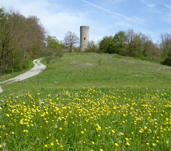 © Liebliches Taubertal