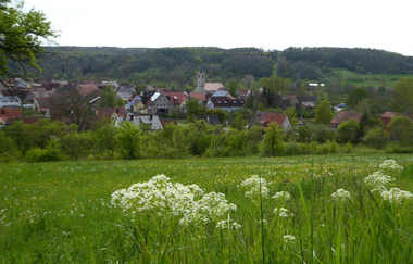 Bieberehren | © Tourismusverband "Liebliches Taubertal" e.V.