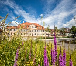 © Stadt Bönnigheim