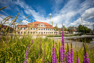 Bönnigheim | © Stadt Bönnigheim