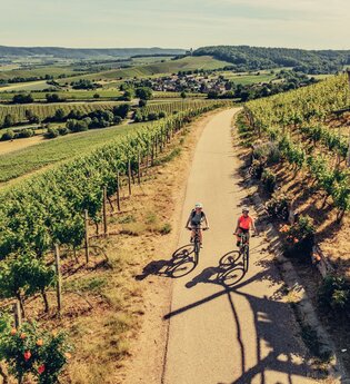 Weinsüden Weinort Brackenheim am Württemberger Weinradweg | HeilbronnerLand | © Touristikgemeinschaft HeilbronnerLand