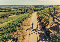Weinsüden Weinort Brackenheim am Württemberger Weinradweg | HeilbronnerLand | © Touristikgemeinschaft HeilbronnerLand