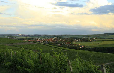 Blick über das Zabergäu im Naturpark Stromberg-Heuchelberg | Brackenheim | HeilbronnerLand | © Stadt Brackenheim - Reinhard Rieger