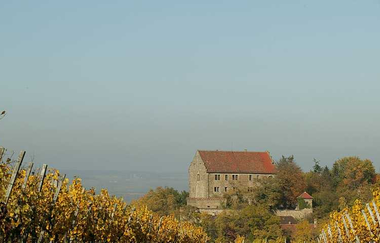 Blick auf Schloss Magenheim | Cleebronn | HeilbronnerLand | © Neckar-Zaber-Tourismus Claudia Fy