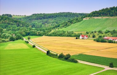 Wein- und Ackerlandschaft bei Dörzbach im Jagsttal | © Touristikgemeinschaft Hohenlohe e. V.  | Andi Schmid