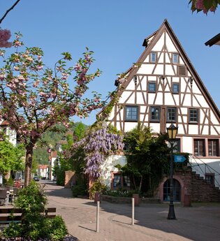 Eberbach - Historische Altstadt