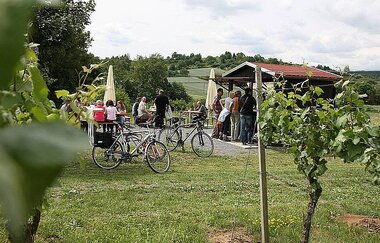 Weinausschank umgeben von Weinbergen | Flein | HeilbronnerLand