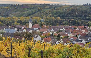 Blick auf Gemmrigheim von den Weinbergen mit gelben Herbstlaub | © Copyright  Erika Klier