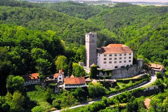 Blick auf die Burg Guttenberg | © Gemeinde Haßmersheim
