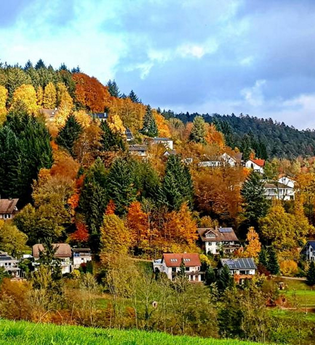 Blick auf das herbstliche Heiligkreuzsteinach / Odenwald | © Gemeinde Heiligkreuzsteinach