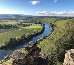 Hessigheimer Felsengärten: Blick auf den Neckar | © TMBW
