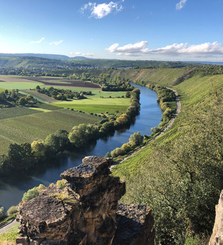 Hessigheimer Felsengärten: Blick auf den Neckar | © TMBW