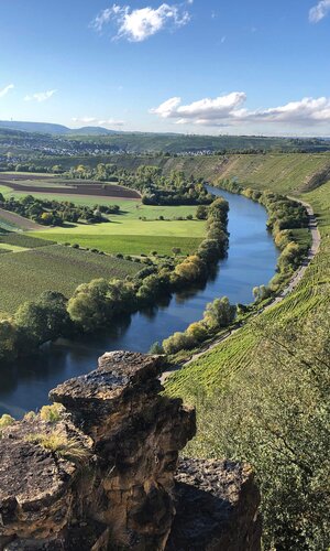 Hessigheimer Felsengärten: Blick auf den Neckar | © TMBW