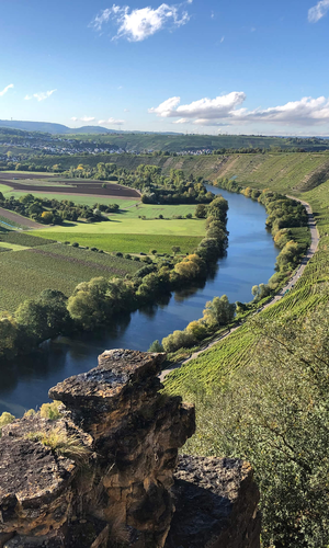Hessigheimer Felsengärten: Blick auf den Neckar | © TMBW
