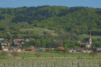 Hirschberg an der Bergstraße
