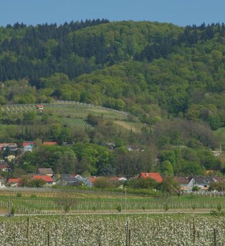 Hirschberg an der Bergstraße
