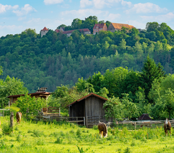 © Liebliches Taubertal