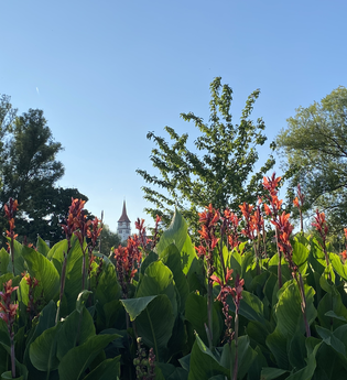 Ilsfeld | HeilbronnerLand | © Gemeinde Ilsfeld