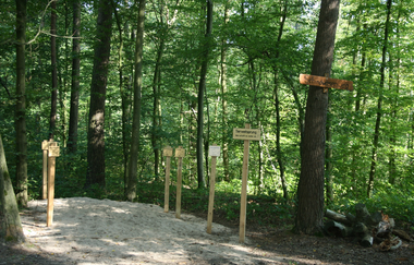 Waldlehrpfad | Gemeinde Kirchardt | HeilbronnerLand | © Gemeinde Kirchardt