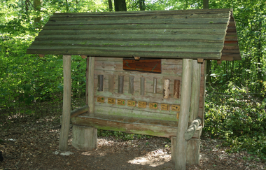 Waldlehrpfad | Gemeinde Kirchardt | HeilbronnerLand | © Gemeinde Kirchardt