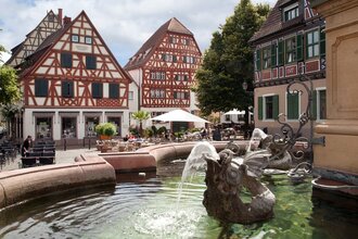 Ladenburg | © Landratsamt Rhein-Neckar-Kreis I Dorothea Burkhart