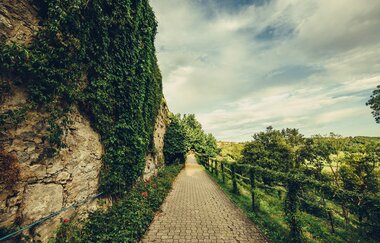 Weg um Schloss Langenburg mit Efeu bewachsener Mauer | © Arbeitsgemeinschaft Kocher-Jagst-Radweg