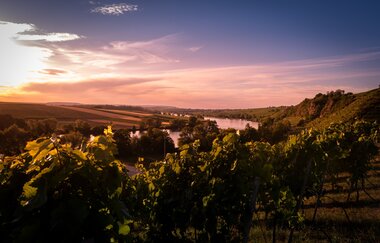 Katzenbeißer-Steillagen mit Krappenfelsen | Lauffen am Neckar | HeilbronnerLand | © Touristikgemeinschaft HeilbronnerLand