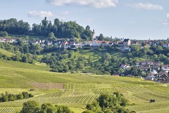 Bergstädtchen Löwenstein | Naturpark Schwäbisch-Fränkischer Wald | HeilbronnerLand | © Touristikgemeinschaft HeilbronnerLand