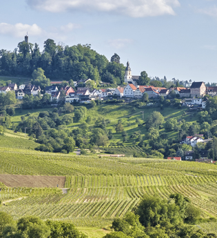 Bergstädtchen Löwenstein | Naturpark Schwäbisch-Fränkischer Wald | HeilbronnerLand | © Touristikgemeinschaft HeilbronnerLand