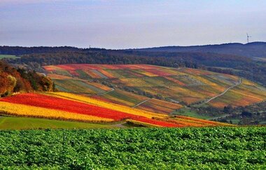 Markelsheim | © Unbekannt