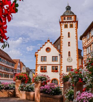 Altstadt Mosbach