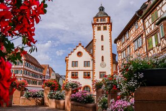 Altstadt Mosbach