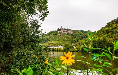 Burg Hornberg