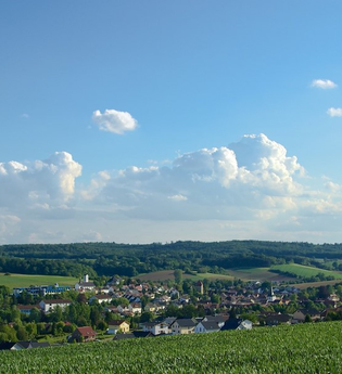 Sicht auf Neckarbischofsheim | © Gemeinde Neckarbischofsheim