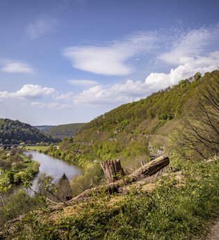 Margaretenschlucht-Pfad / Odenwald | © Touristikgemeinschaft Odenwald e.V.