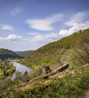 Margaretenschlucht-Pfad / Odenwald | © Touristikgemeinschaft Odenwald e.V.