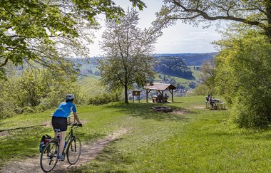 Gickelfelsen bei Neckargerach / Odenwald | © Touristikgemeinschaft Odenwald e.V.