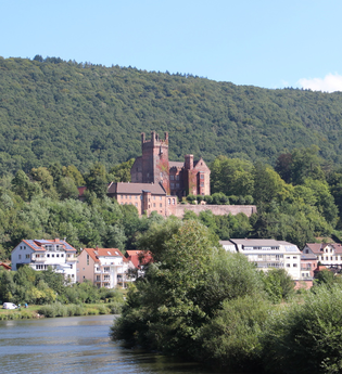 Blick vom Wasser aus auf die Mittelburg | © Touristikgemeinschaft Odenwald e.V.