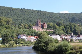 Blick vom Wasser aus auf die Mittelburg | © Touristikgemeinschaft Odenwald e.V.