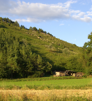 Neubrunn | © Markt Neubrunn