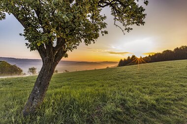 Sonnenaufgang Neckarkatzenbach / Odenwald | © Touristikgemeinschaft Odenwald e.V.
