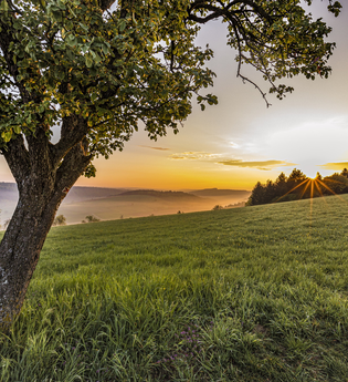 Sonnenaufgang Neckarkatzenbach / Odenwald | © Touristikgemeinschaft Odenwald e.V.