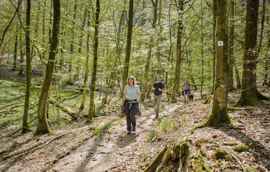 Der zertifizierten Wanderweg Neckarsteig führt auch nach Neunkirchen / Odenwald | © Touristikgemeinschaft Odenwald e.V.